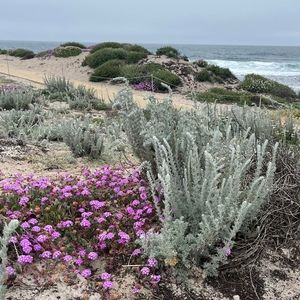 Meet your Posher, Connie